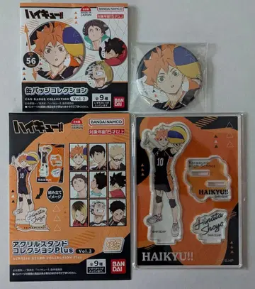 하이큐!! 하피쿠로 캔뱃지 아크릴 스탠드 히나타