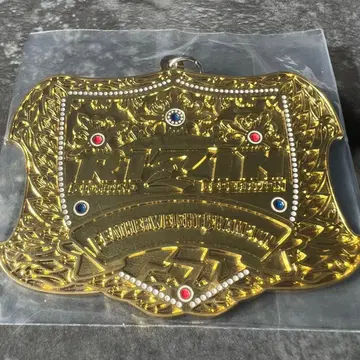 RIZIN 제일복권 챔피온 벨트 메탈 참 페더급