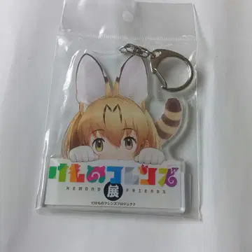 케모노 프렌즈 아크릴 키링 키 비주얼 2025 데즈카 오사무 기념관