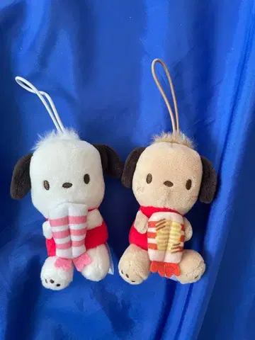 스시로 x 하피단부이 포차코 세트