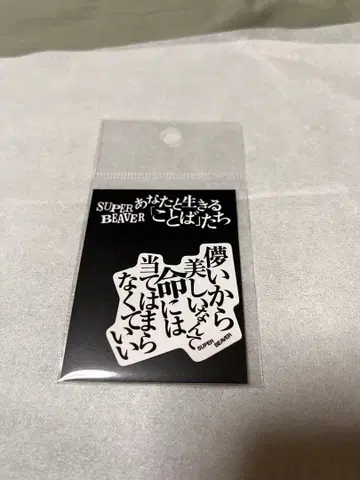 SUPER BEAVER 스티커 덧없지 않아