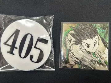 토가시전 헌터 시험 플레이트