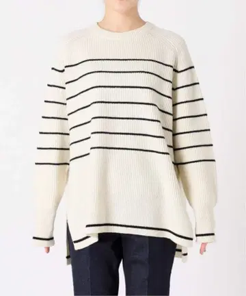 이에나 보더 니트 이에나, 베이직 재고, 스픽 앤 스팬