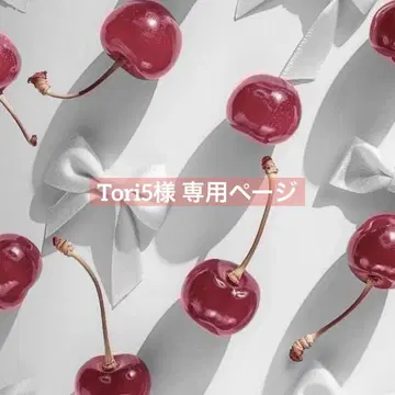 SEVENTEEN 응원봉 커버 carat봉 토끼 체리