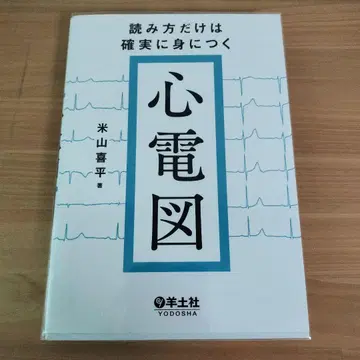 읽는 법만 확실하게 익히는 심전도