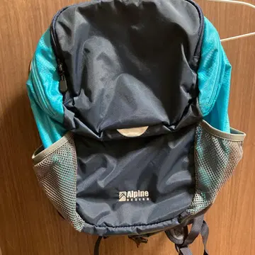 Alpine 백팩