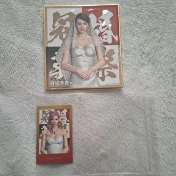 용과 같이 관혼상제전 입장 혜택 색지 사야마 카오루 이미지 샷 카드 손희