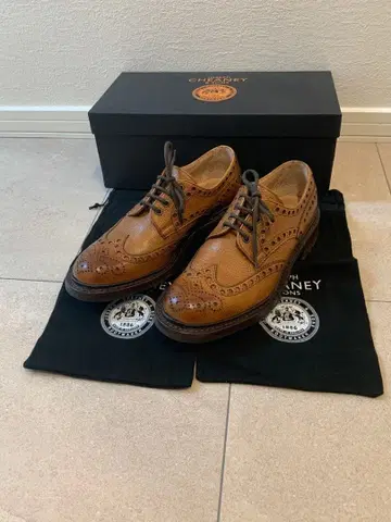 조셉 치니 에이본 C 7.5 아몬드