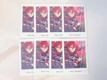 앙스타 파샤츠 이바라