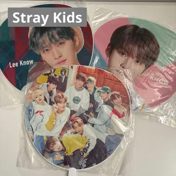 Stray Kids 부채 세트