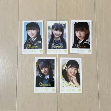 니지유 조이 아마노 코노아 미니 사진 vol.2 컴프