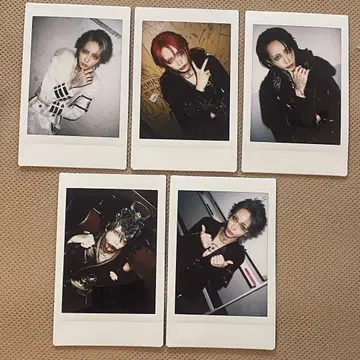 레이[Hz] TEIKA 폴라로이드 세트 1214-1