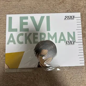 진격의 거인 노비에이스 리바이 신장계