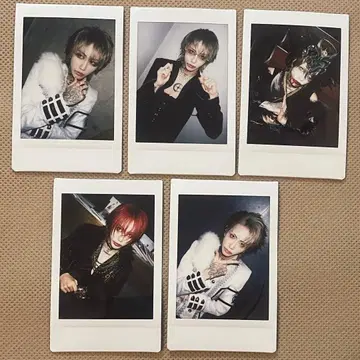 [Hz] TEIKA 폴라로이드 츠 세트 1214-3