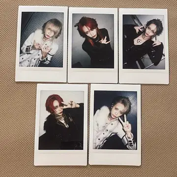 [Hz] TEIKA 폴라로이드 츠 세트 1214-5