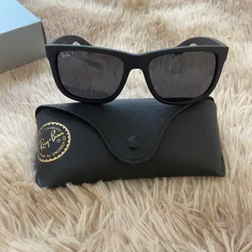 Ray-Ban 블랙 레이밴 Justin RB4165