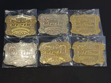 RIZIN 제일복권 D상 챔피온 벨트 메탈 참
