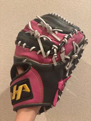 하타케야마 캐치 그로브