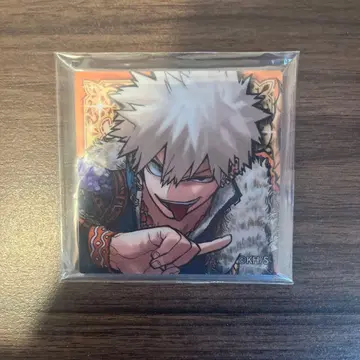 히로아카 아크릴 마그넷 컬렉션 십걸 원화 바쿠고 카츠키