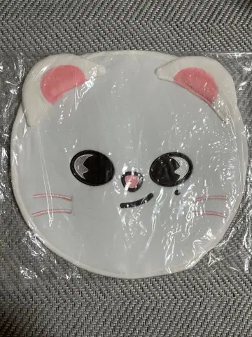 straykids 부채 커버 현진 지니레트