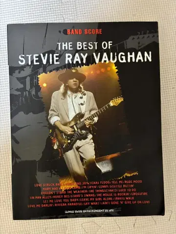 스티비 레이 본드 밴드스코어