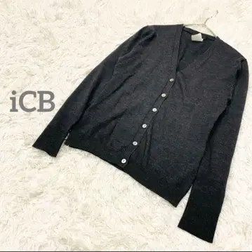아이시비 긴팔 니트 가디건 V넥 겉옷 울100% 심플