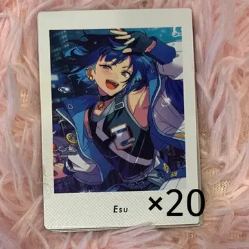 에스 앙스타 파샤츠