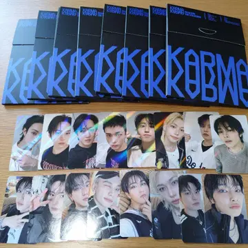 straykids 스키즈 KARMA COMPACT 컴팩트 포토A 홀로