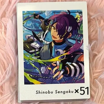 센고쿠 시노부 파샤츠