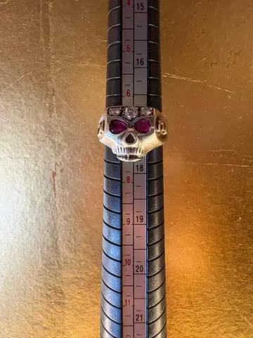 헬스장 스컬 플래시 포인트 조니 뎁 모델