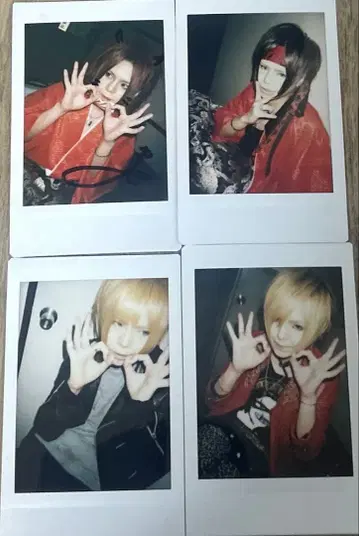 R 지정 마모 폴라로이드