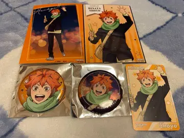 하이큐 코스모 월드 캔뱃지 비주얼 카드 히나타 쇼요