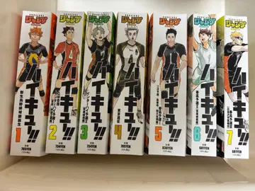 하이큐 리믹스판 전권