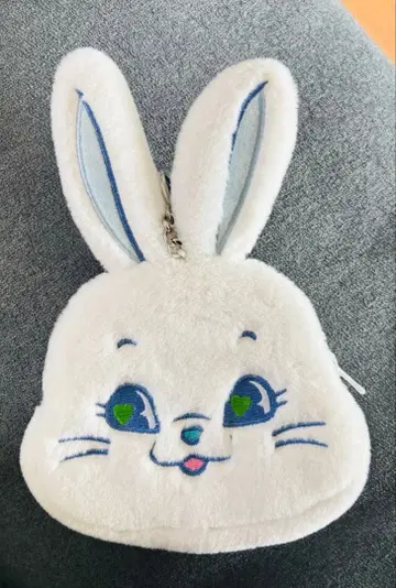 Newjeans 코인 케이스