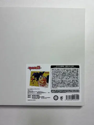 매쉬루 박입 아크릴 아트