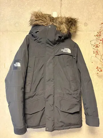 ND91807 / THE NORTH FACE