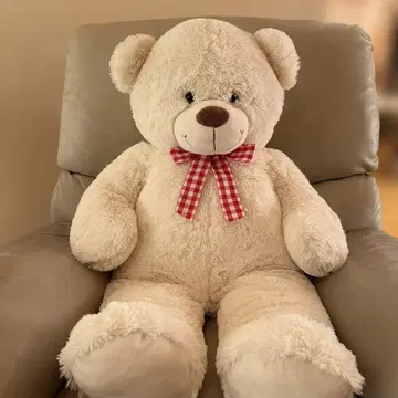 [ 오늘 발송 ] 곰 봉제 인형