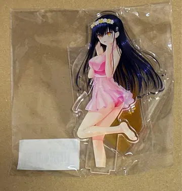 쿠지마 카모메 아크릴 스탠드 2025 VA 여름 페스티벌 썸머 포켓츠