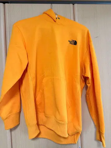 THE NORTH FACE 속기모 후드티