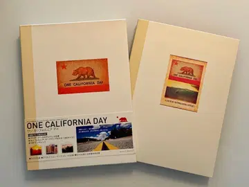 ONE CALIFORNIA DAY DVD 2장 서핑