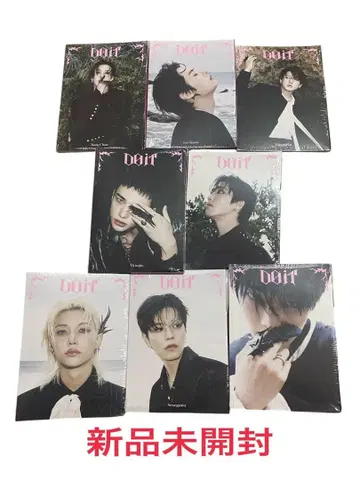 Stray Kids 스키즈 DO IT 아코디언ver 컴프