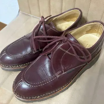 파라부트 적갈색