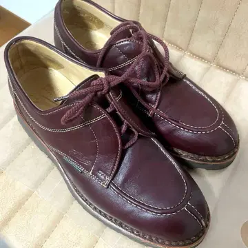 파라부트 적갈색