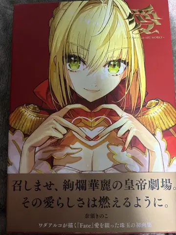 와다 아루코 화집 [ 아이 -와다 아루코 Fate ART WORKS- ]