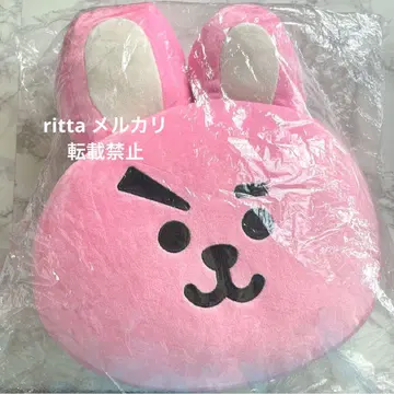 BT21 COOKY 쿠션 대형