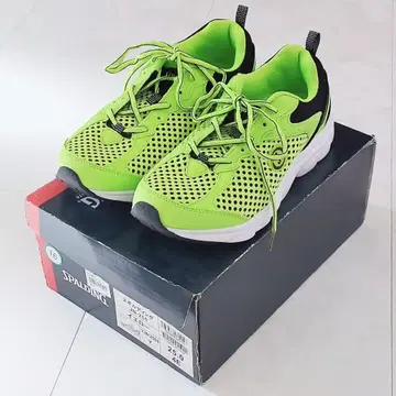 SPALDING 스펄딩 25cm 스니커즈 그린 남성용