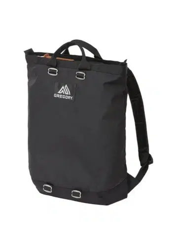 그레고리 플래시 데이