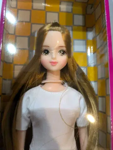 미라이 리카짱 캐슬