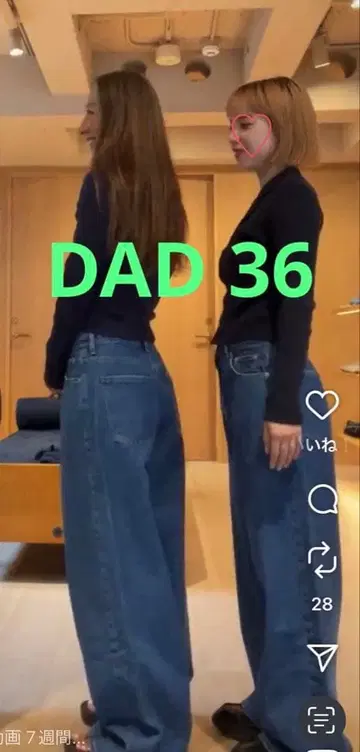 SHISHIKUI Dad 36 인디고 시시쿠이 청바지