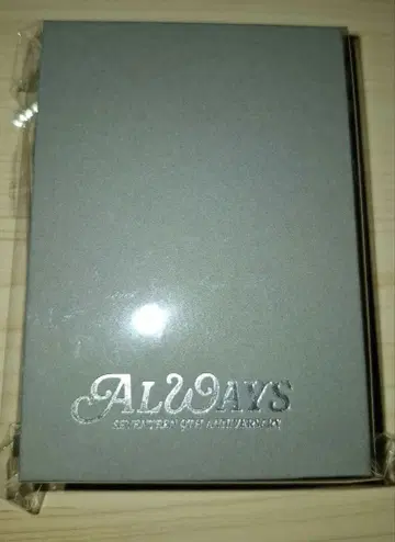 SEVENTEEN 9주년 디노 목걸이